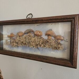 1920s SIGNED Antique Preserved mushroom village Shadowbox RARE